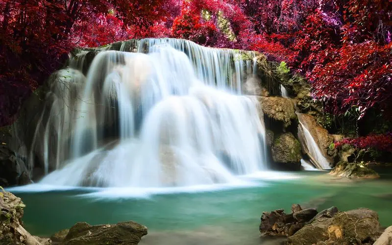 智能高端